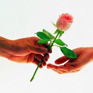 Meet your Posher, Miriam